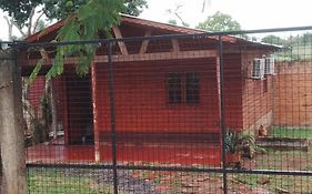 Cabana Tamandua